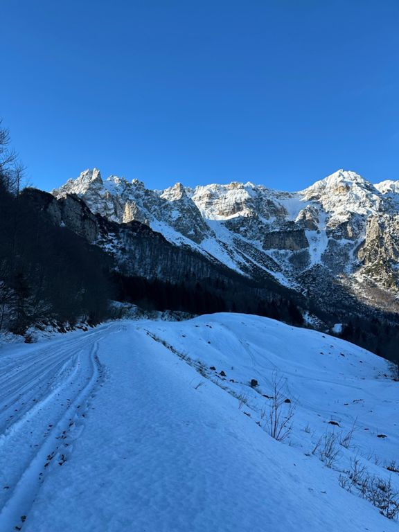 route-highlight