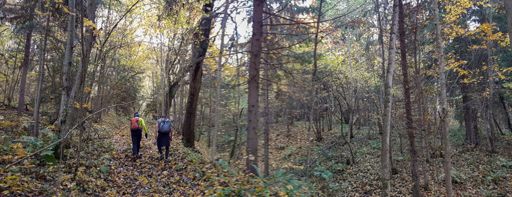 Подъем на Попову гору.