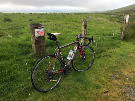 Worrying sheep is a crime