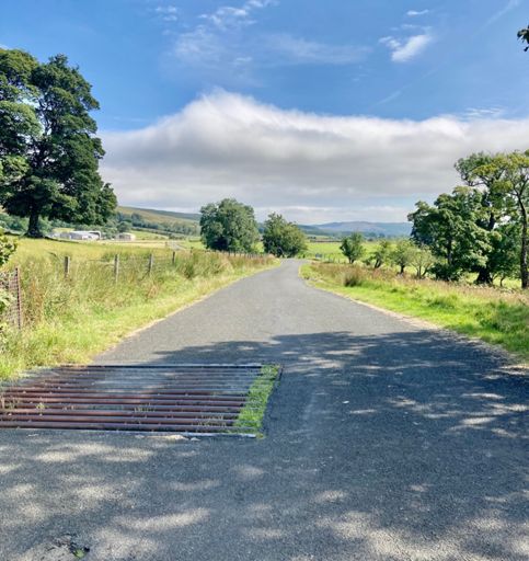 As useful as half a cattle grid?