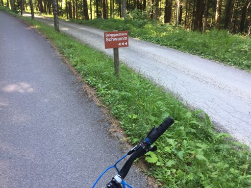 Nur im Wald wars auszuhalten. Morgen solls kühler sein, da geht’s nochmal ganz nach oben..
