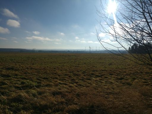 Zum Ende wurds dann besser