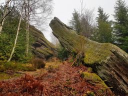 Bonne année ???? Happy new year !