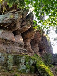 Tête de la gorge aux sangliers et Canceley