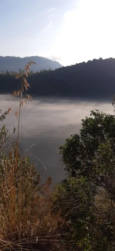 Nebbia mattutina a MonteNuovo