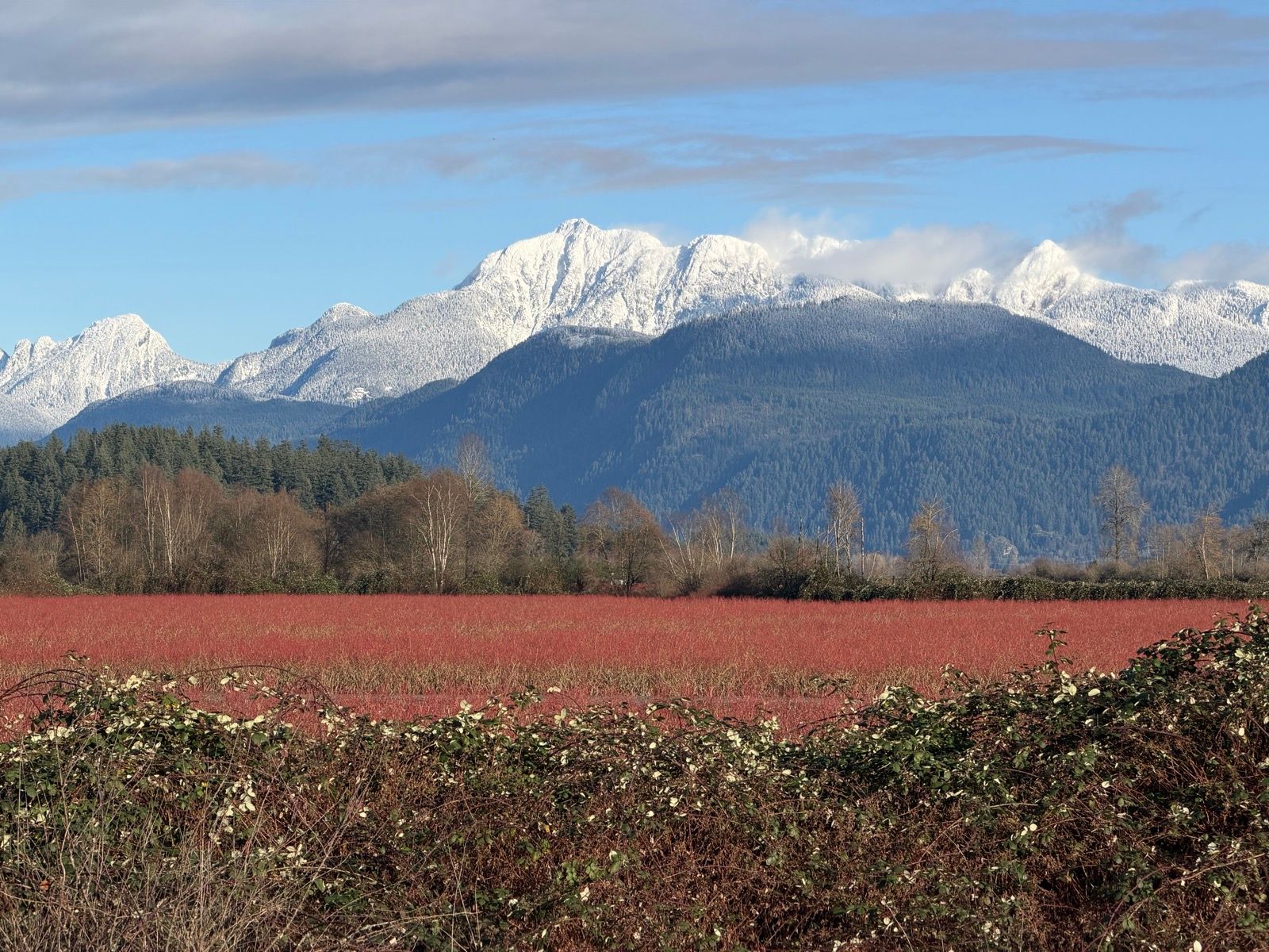 Raven, Golden Ears, Blanshard, Alouette
