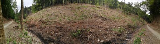 Hier wurde ordentlich geschlägert...