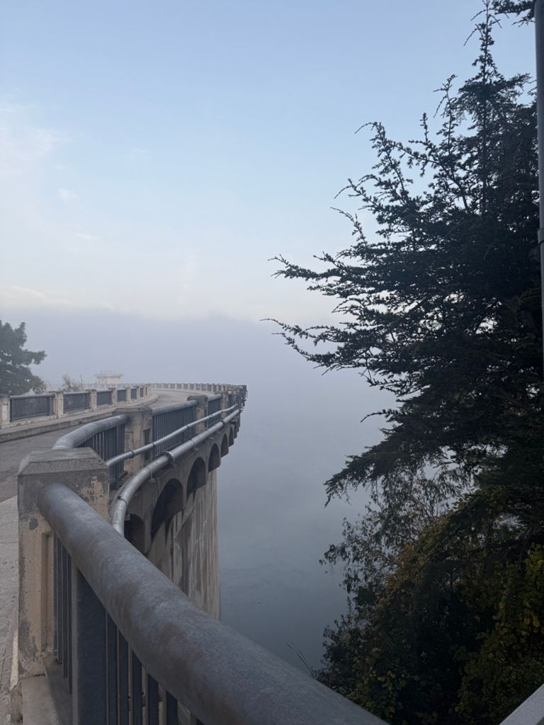 NBB run - Lake Hollywood photo 135