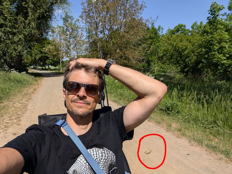 Plazení
