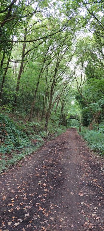Rather than follow the planned route (left onto Red Rock Lane to join the former Lancashire and Yorkshire Union Railway, aka Whelley Loop Line and now NCN Route 55.  https://www.sustrans.org.uk/find-a-route-on-the-national-cycle-network/route-55/     ), our majority vote was to continue along the towpath to Adlington Marina where we would lunch with Anisa. Whilst it was fine initially, it soon deteriorated and we left after a mile for fear of punctures.  Yet when we re-joined the proper route as shown in this photo, it was also unsatisfactory, and as this YouTube video records, the whole route from where we would have joined is of similar condition - https://www.youtube.com/watch?v=MVDWWmlNe58  I will explore replacing this. It remained so all the way to Adlington Marina - we lunched in the cafe - and for the mile after. By which time, Plan B was Roxie and Google Maps to Avenham Park Cafe in Preston, as the first 25 miles had taken 4+ hours by 13.50.
