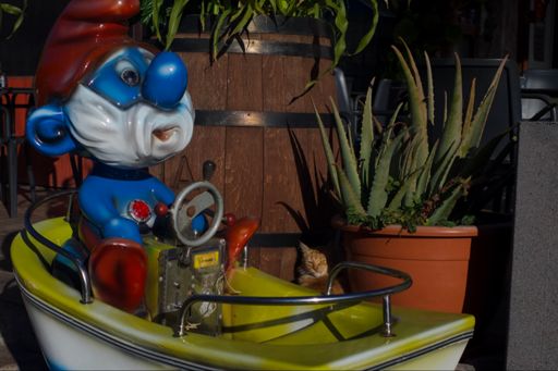 Dinner dilemma Lou and Andy and Kittykat.