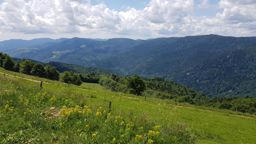 Wildenstein au Rainkopf