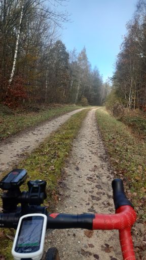 Vor Laudert hat sie es schon geschafft.