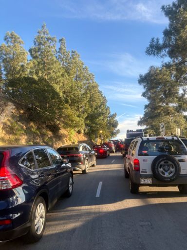 The line extended all the way down to the greek theater. These people sat in their car instead of parking at the bottom of the hill and walking up. All of them. Not just the handicapped or the whatever blah blah. They chose to sit in their car for over an hour just to get to a full parking lot at the top at capacity. Idiots. All of them. 