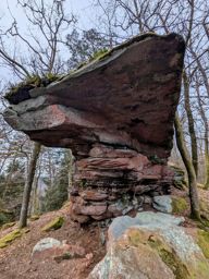 Autour du Falkenstein