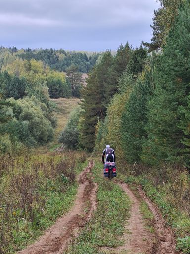 Спуск к реке Содышке вблизи Пиганово.