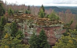 VTT roche des druides