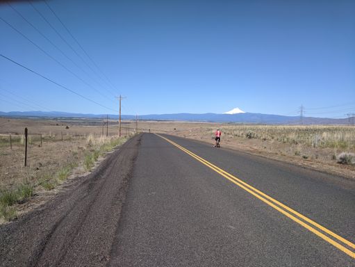 Jeff is checking the Zwift schedule to see if there are any Crits later in the afternoon?