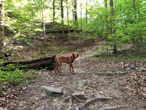 After leading part of he way on naysayer, still ready to go....