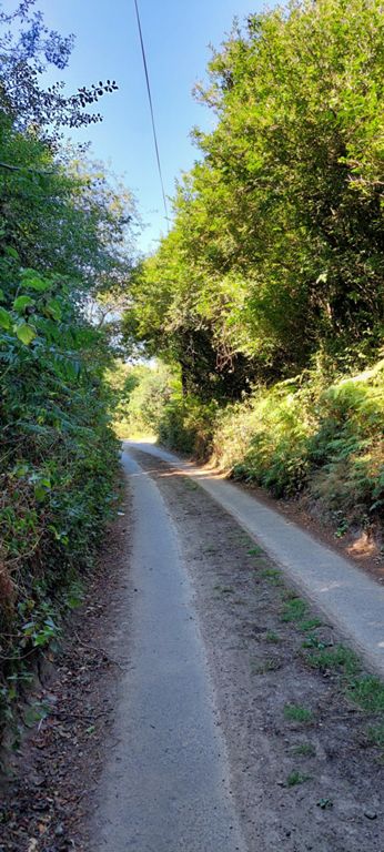 Record of the road surface on some quiet roads. The centre section with growth. Use of the thin usable tarmac was hampered by overgrown side bushes.
