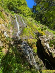 Crapahutage matinal dans les hautes vosges