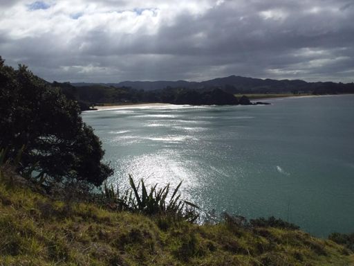 Looking north towards Whananaki