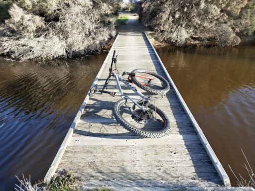 One of the many bridges in Barker Inlet Wetlands.