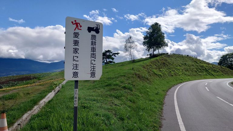 せっかくなので、