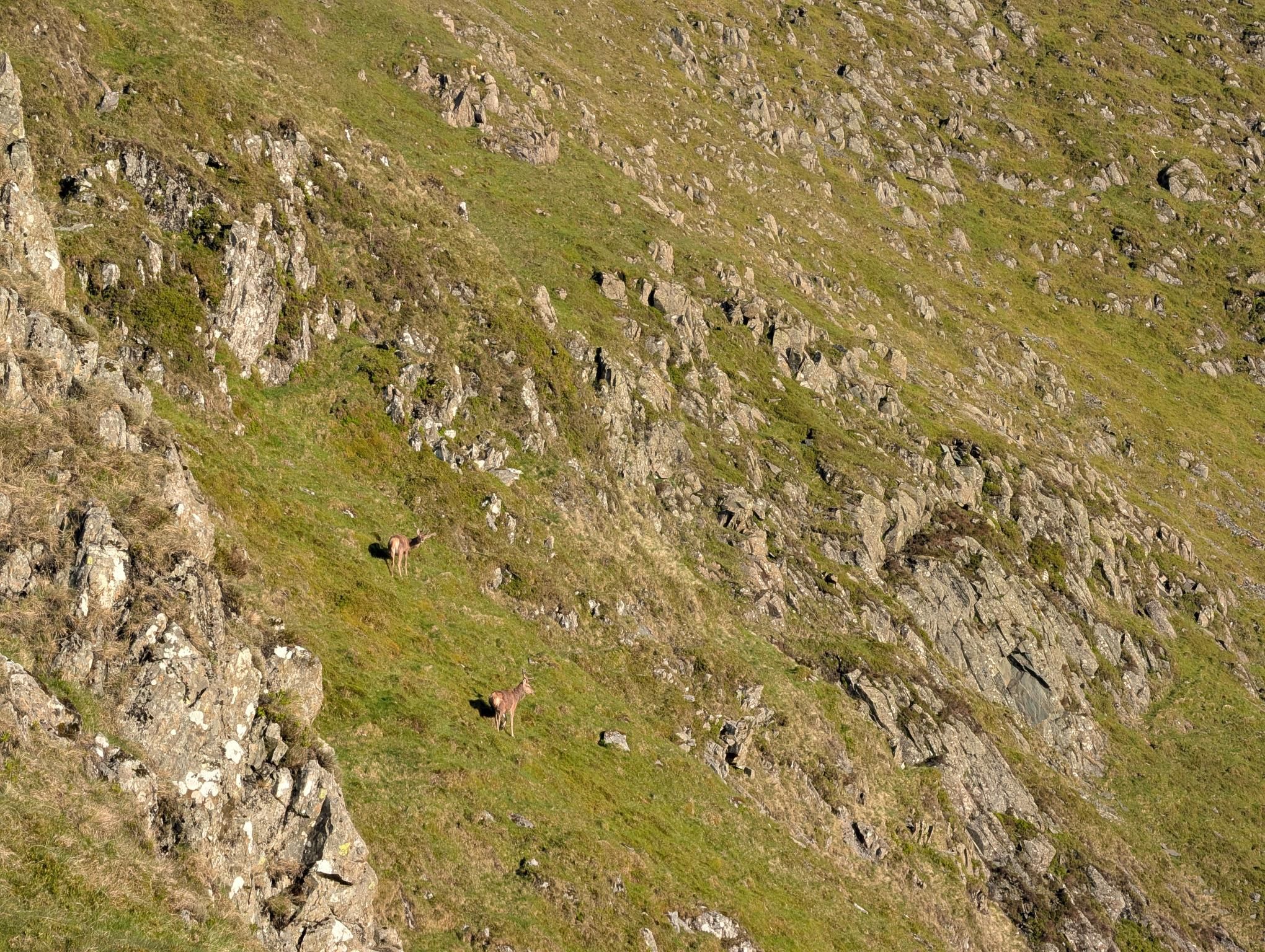 Overnight at Blea Water - Day 2 photo 5