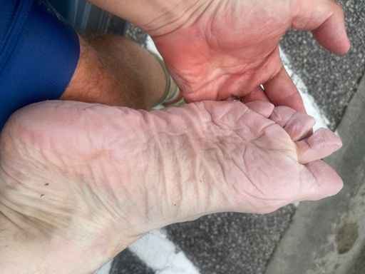 Lots of rain, three hour long bouts of it throughout the day.