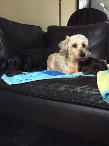 All friends at the moment :)