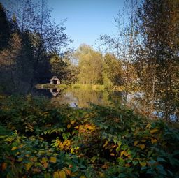 Dans ma prison dorée