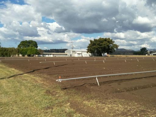 Umm ... somewhere on the way to Toowoomba, Queensland, Australia.