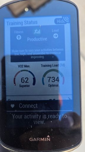 Garmin finally gave me good news today instead of always saying, "You need to do more threshold intervals today".  Probably because we were chasing SkyWalker Cole around today.