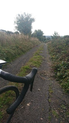 This is tricky, it's getting tracky.