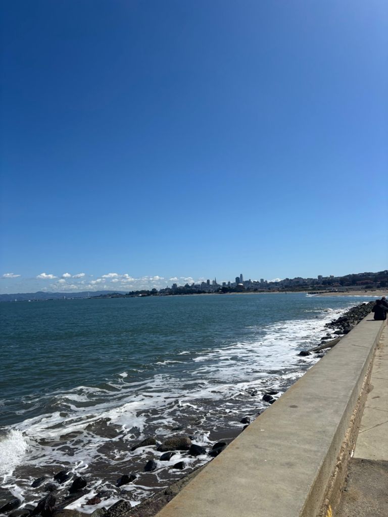 Butterlap (Presidio & Golden Gate Park) photo 105