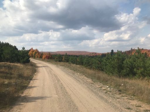 Views along Grapevine Rd