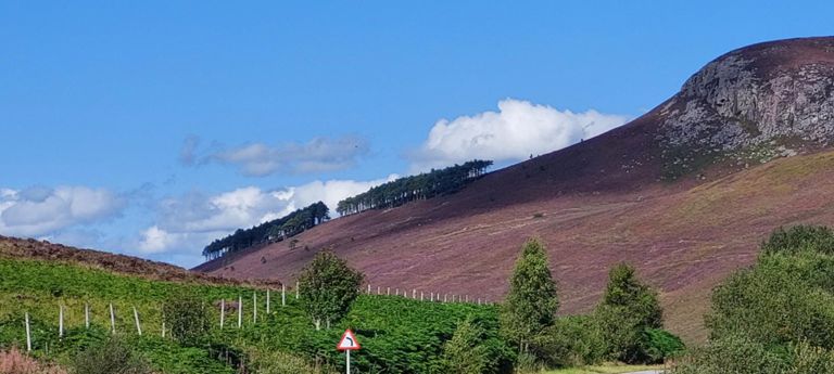 1224ft/373m Struie Cairn to our left at the time. More photos to come, trying to capture its magnificence.