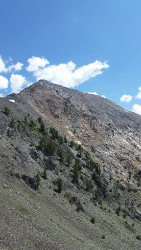 Looking at the summit from the saddle.