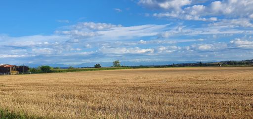 Le Alpi dalla strada tra Valenza e San Salvatore