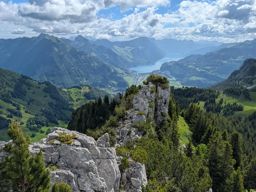 Chöpfenberg Tierberg