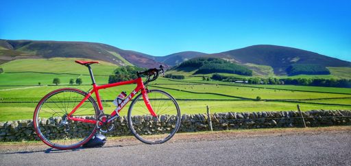 The 10yo work horse.