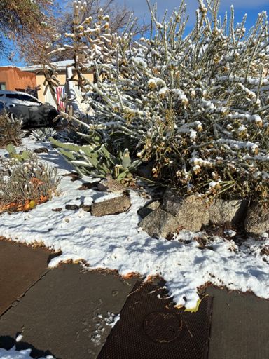 Wow, Albie's camouflage works in the snow, too!