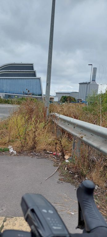 Bristol Bioresources and Renewablw Energy Park. https://www.geneco.uk.com/locations/bristol