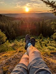 La dentelle des fées