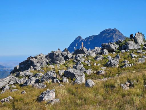 Baboons tanning at Saaltjie