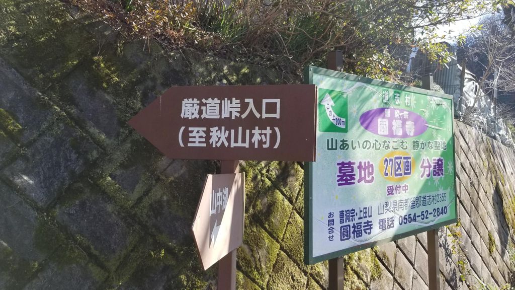 Relive メインは巌道峠ライド