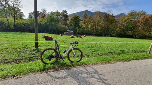 www.strava.com