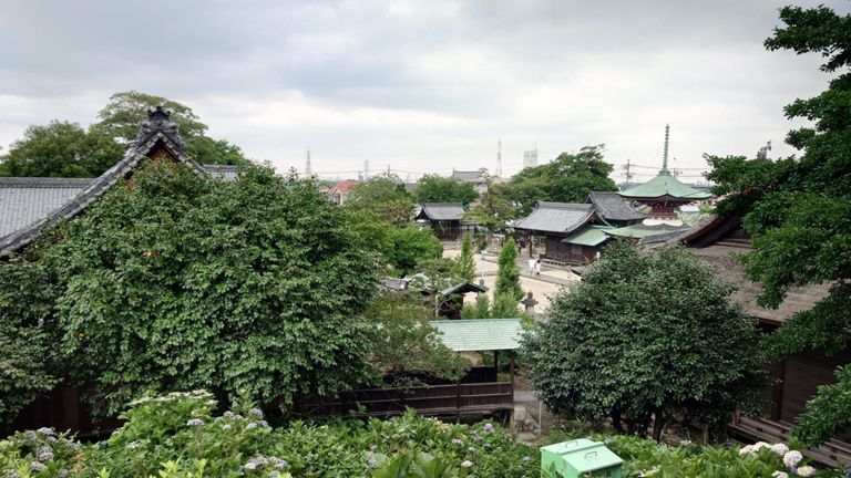 古墳の上から。