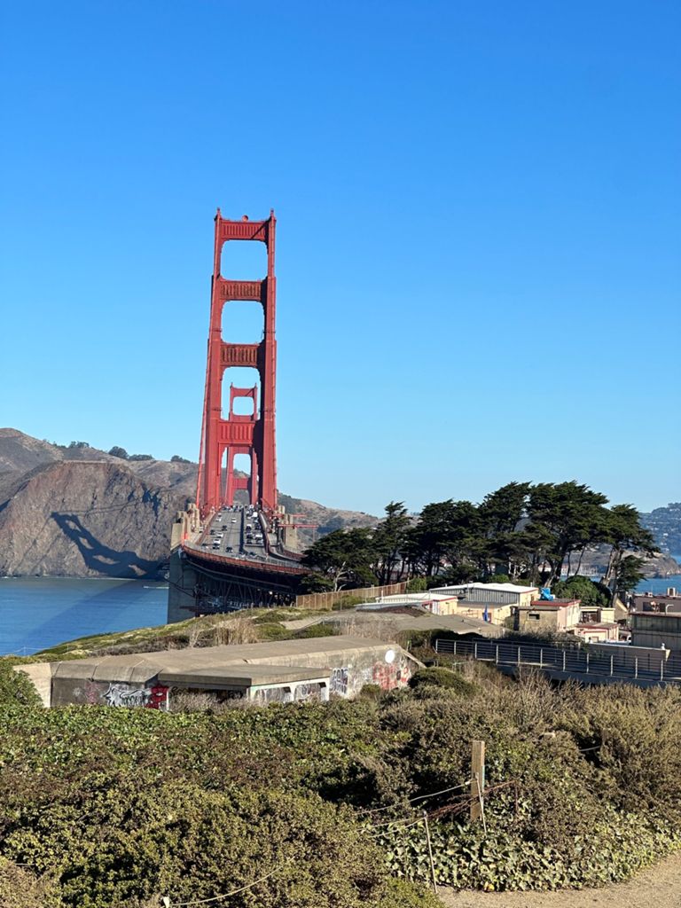 Butterlap (Presidio & Golden Gate Park) photo 129